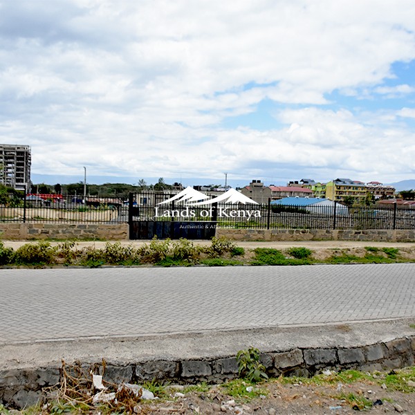 1 ACRE, NAIVASHA-4
