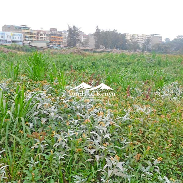 1 ACRE, ROYSAMBU-2