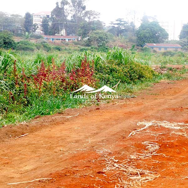 1 ACRE, ROYSAMBU-3