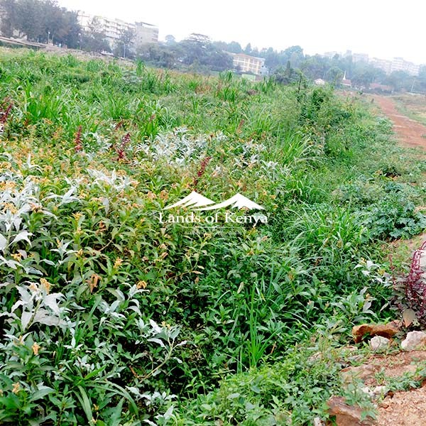 1 ACRE, ROYSAMBU-1
