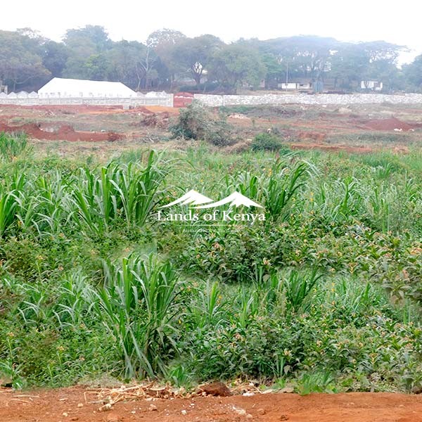 1 ACRE, ROYSAMBU-5
