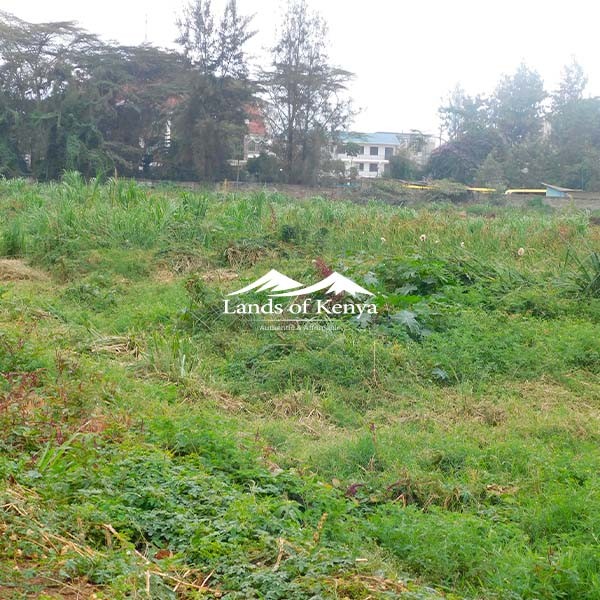 1 ACRE, ROYSAMBU-4