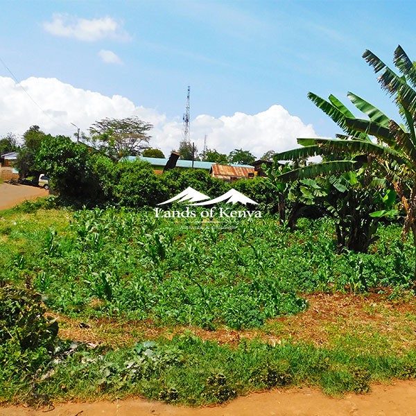 ¼ ACRE, KITISURU-3