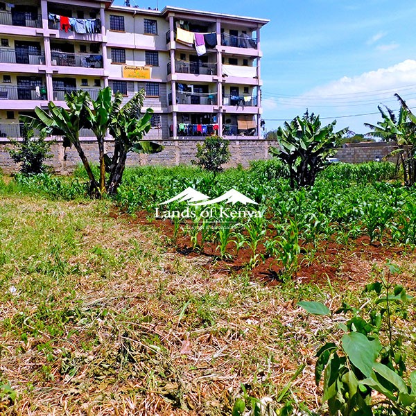 ¼ ACRE, KITISURU-2