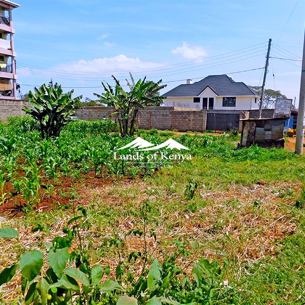 ¼ ACRE, KITISURU-1