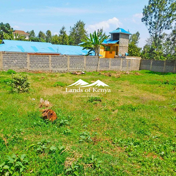 ¼ ACRE, KITISURU-2