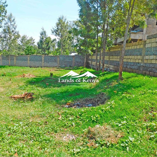 ¼ ACRE, KITISURU-1