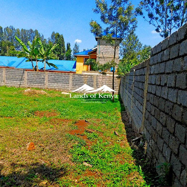 ¼ ACRE, KITISURU-4