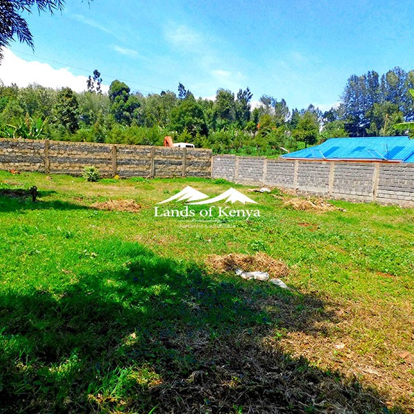 ¼ ACRE, KITISURU-3