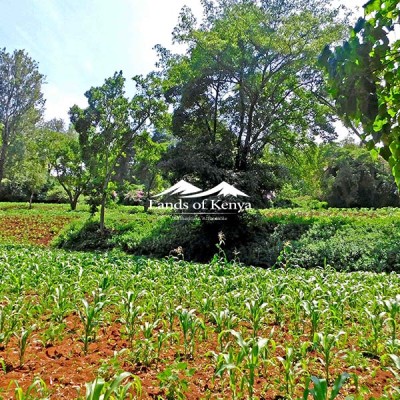 4.25 ACRES, KITISURU