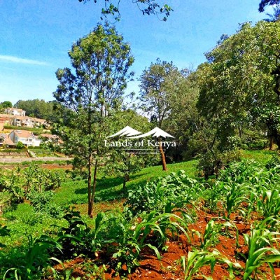 4.25 ACRES, KITISURU