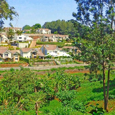 4.25 ACRES, KITISURU