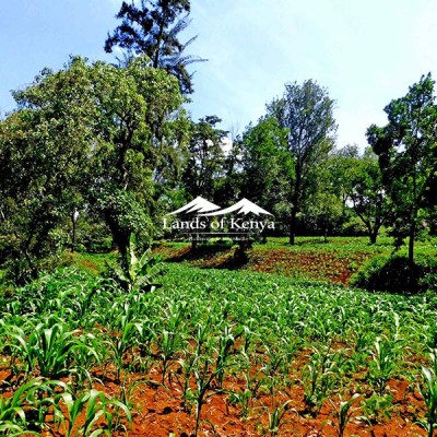 4.25 ACRES, KITISURU