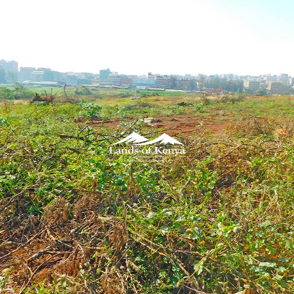 50X75 PLOTS, ROYSAMBU-10