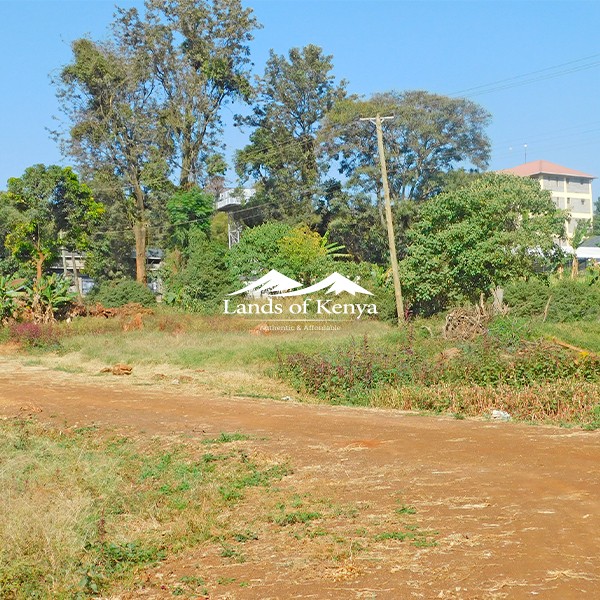50X75 PLOTS, ROYSAMBU-3