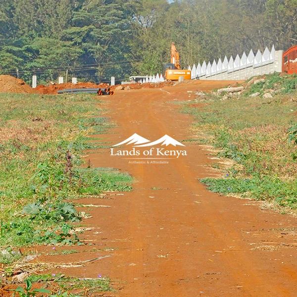 50X75 PLOTS, ROYSAMBU-8