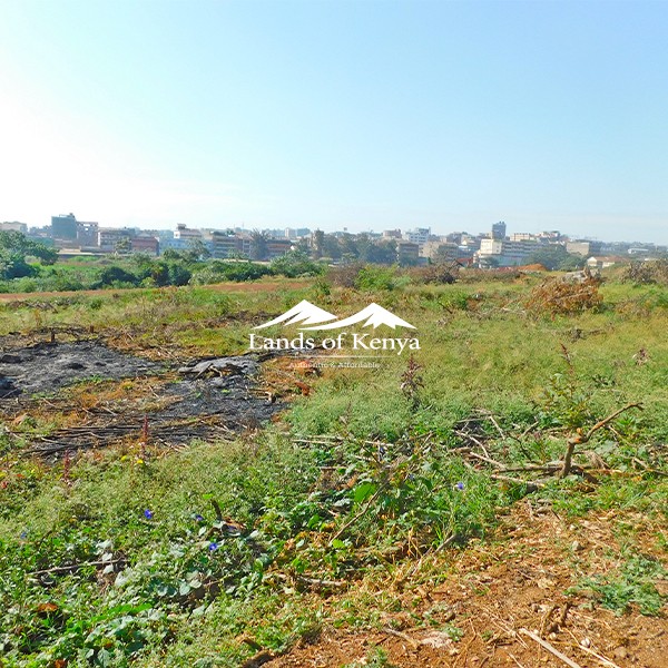 50X75 PLOTS, ROYSAMBU-7