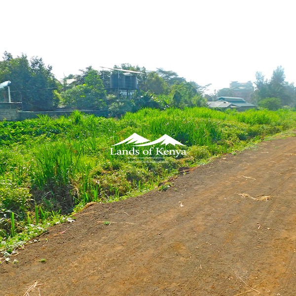 50X75 PLOTS, ROYSAMBU-1