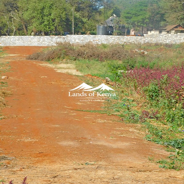 50X75 PLOTS, ROYSAMBU-6