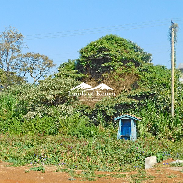 50X75 PLOTS, ROYSAMBU-5