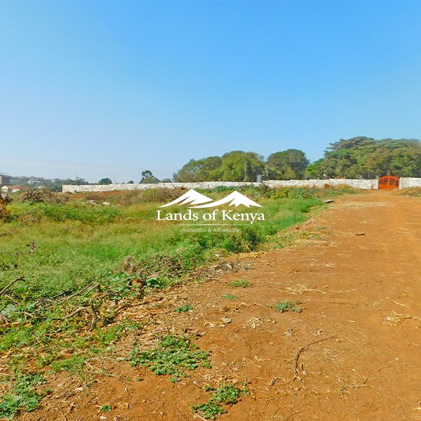 50X75 PLOTS, ROYSAMBU-11