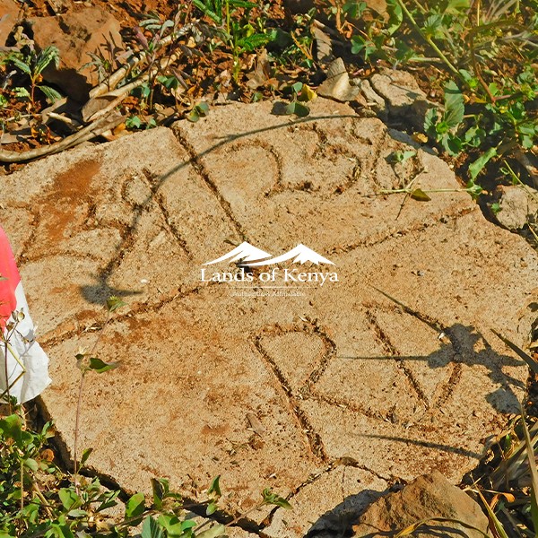 50X75 PLOTS, ROYSAMBU-2