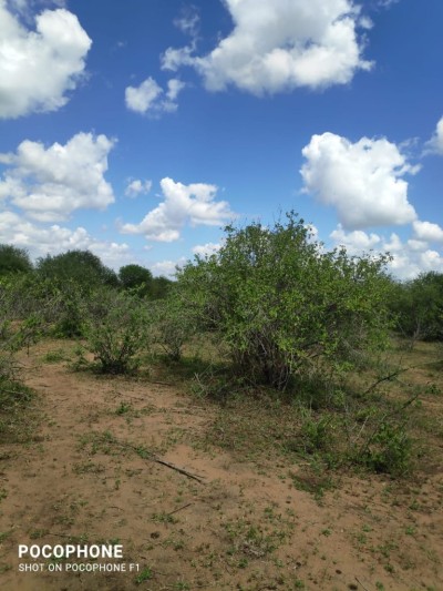18 ACRES FOR SALE ALONG MOMBASA ROAD, KIBOKO