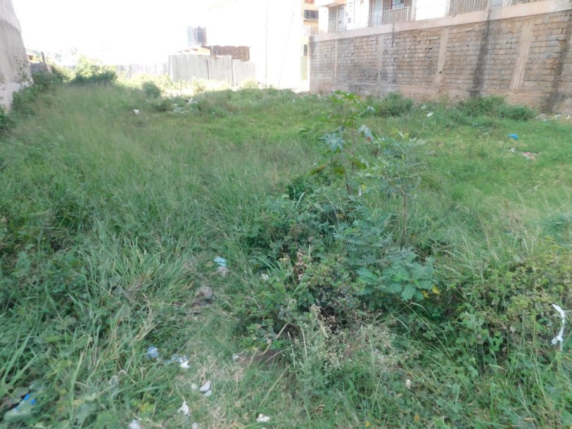 Prime 1/8-Acre Plot for Sale in Thika CBD – Ideal for High-Return Investment-2