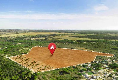 Land Flipping: Strategies for Profitable Buying and Selling in Kenya