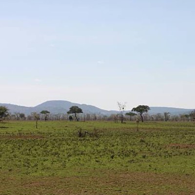 50 ACRES, NAROK