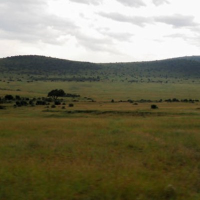 50 ACRES, NAROK