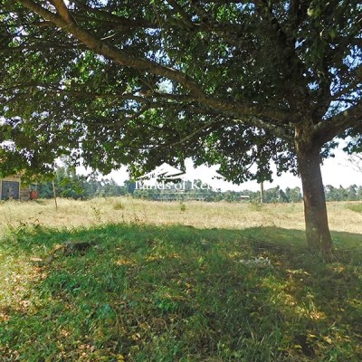 12 ACRES FOR SALE, NGECHA-LIMURU-9