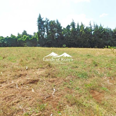 12 ACRES FOR SALE, NGECHA-LIMURU-6