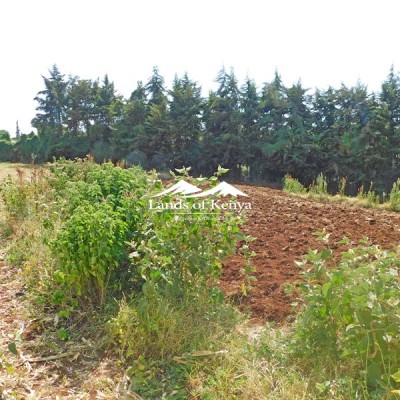 12 ACRES FOR SALE, NGECHA-LIMURU-4