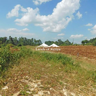 12 ACRES FOR SALE, NGECHA-LIMURU-3