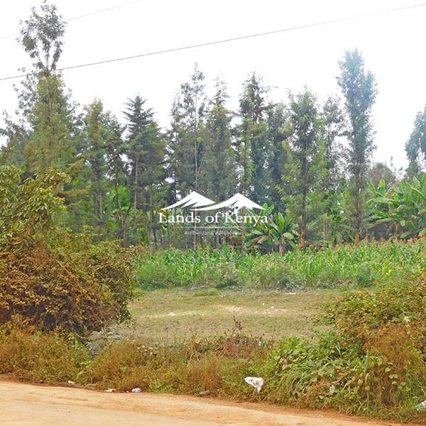 ⅛ ACRE, RUAKA-9