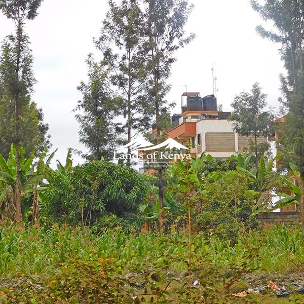 ⅛ ACRE, RUAKA-2