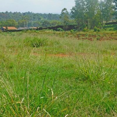 1 ACRE, RUIRU-9