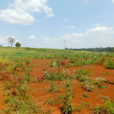 1 ACRE, RUIRU-8