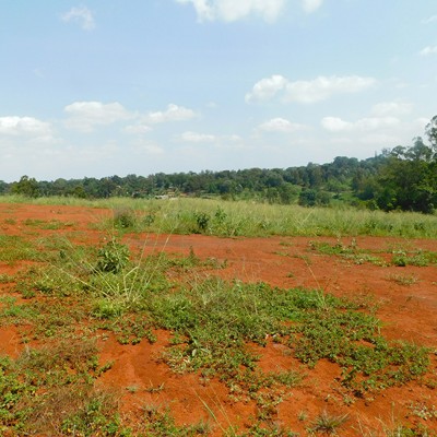 1 ACRE, RUIRU-5