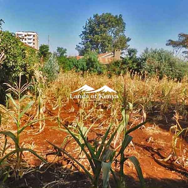 ¼ ACRE ALONG KIRAWA ROAD-9