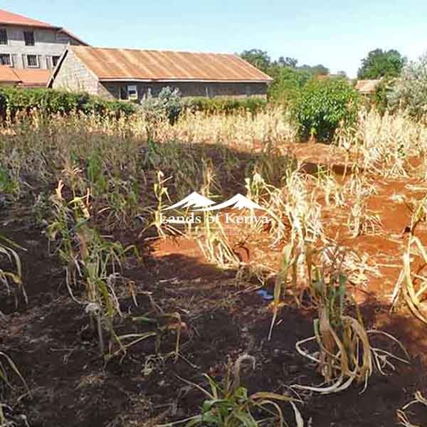 ¼ ACRE ALONG KIRAWA ROAD-8