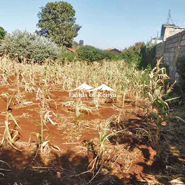 ¼ ACRE ALONG KIRAWA ROAD-7