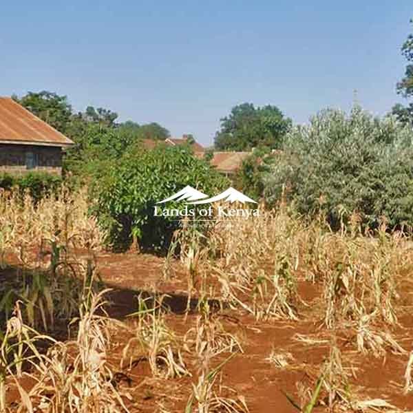¼ ACRE ALONG KIRAWA ROAD-5