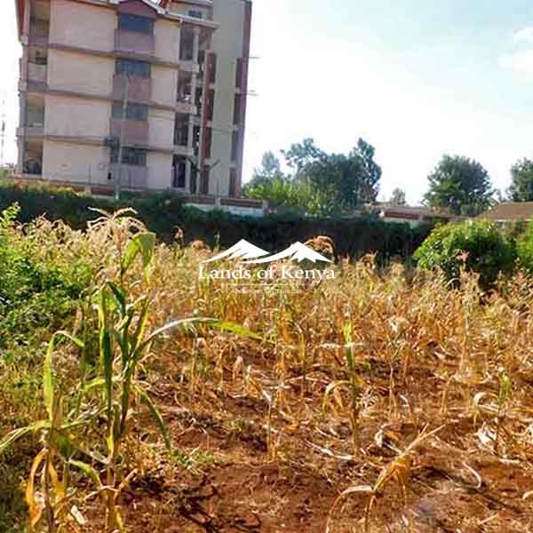 ¼ ACRE ALONG KIRAWA ROAD-3