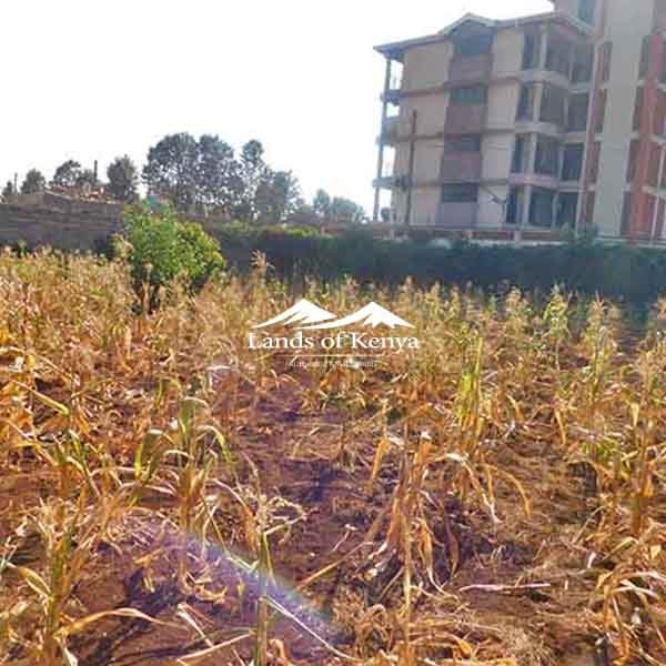 ¼ ACRE ALONG KIRAWA ROAD-2