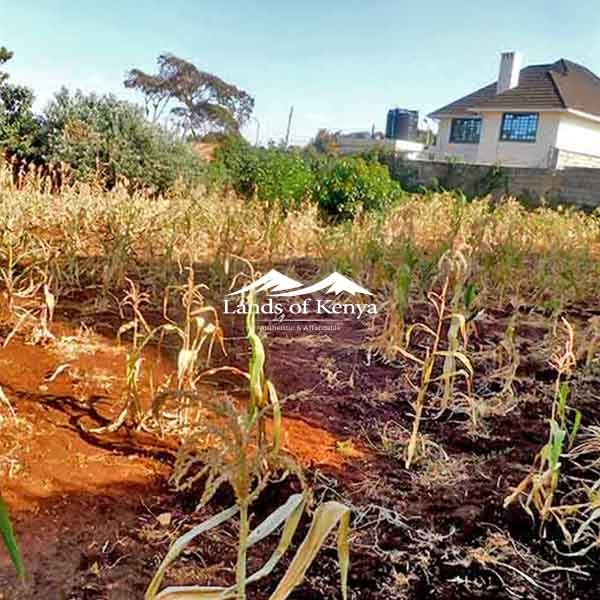¼ ACRE ALONG KIRAWA ROAD-1