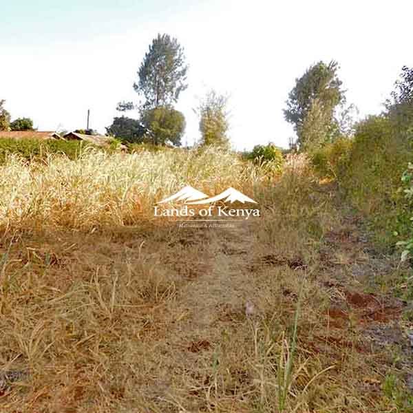 ½ ACRE ALONG KIRAWA ROAD-3