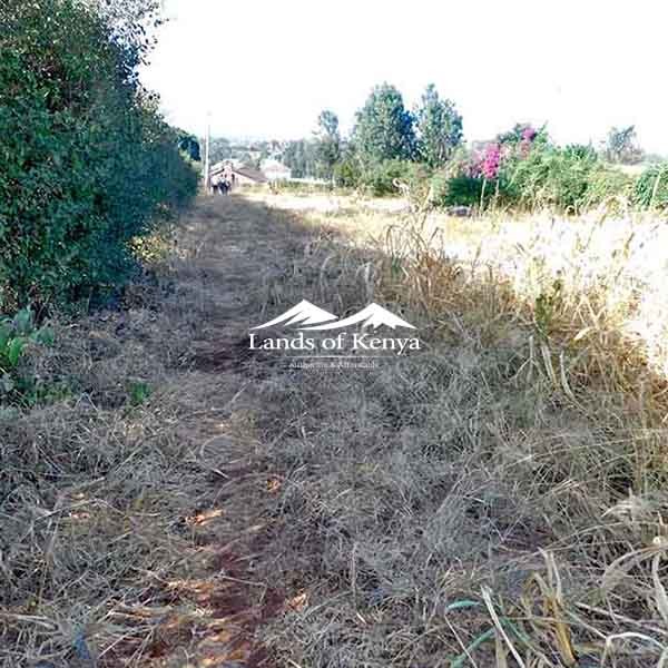 ½ ACRE ALONG KIRAWA ROAD-5