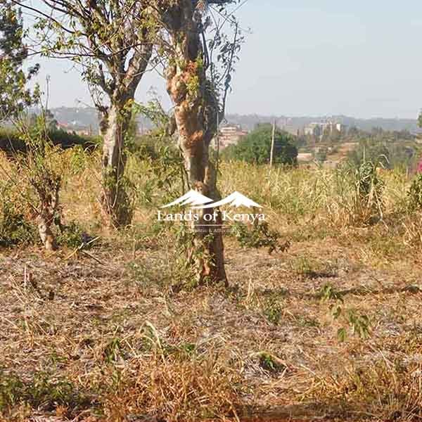 ½ ACRE ALONG KIRAWA ROAD-4